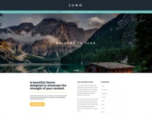 juno-template-webframe-300x225